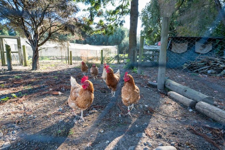 Photo of property in 541 Napier Road, Mangateretere, Hastings, 4180