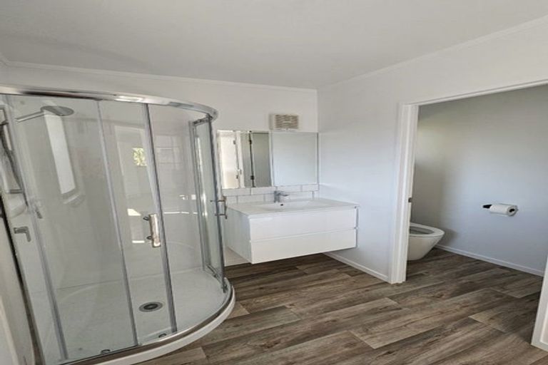 Photo of property in 137 Seddon Road, Frankton, Hamilton, 3204