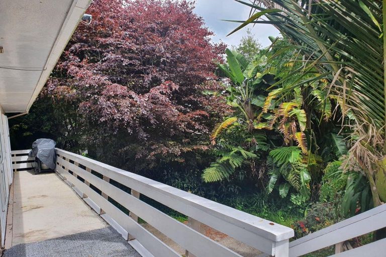 Photo of property in 42 Waiomu Valley Road, Waiomu, Thames, 3575