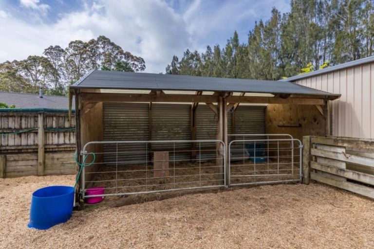 Photo of property in 37 Macadamia Lane, Waipapa, Kerikeri, 0295