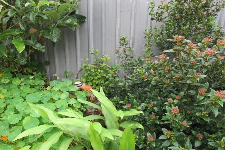 Photo of property in 81 Ward Street, Cobden, Greymouth, 7802