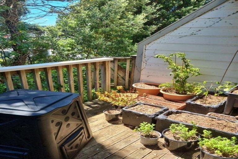 Photo of property in 13c Lawrence Street, Newtown, Wellington, 6021