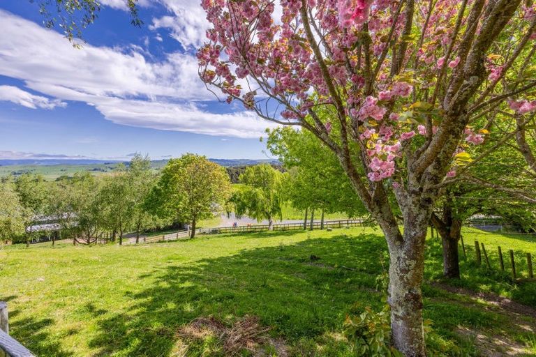 Photo of property in 128 Mangatarata Road, Waipukurau, 4285