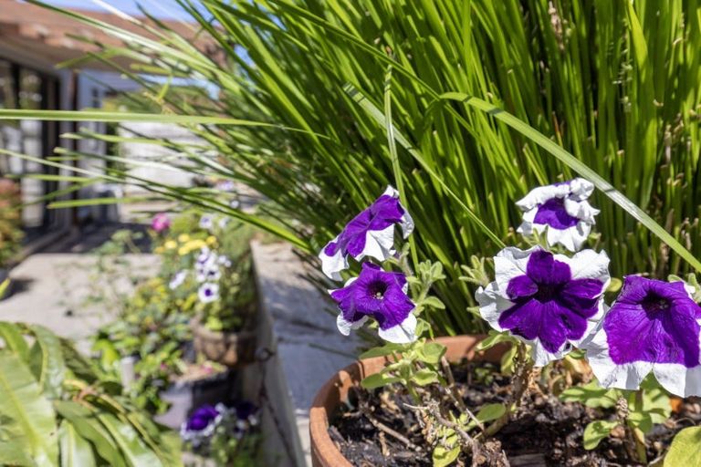 Photo of property in 14 San Priamo Place, Paraparaumu Beach, Paraparaumu, 5032