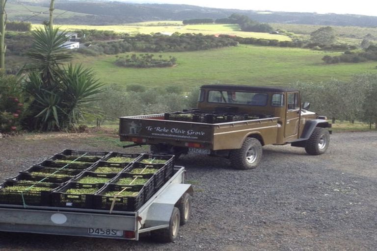 Photo of property in 429 Redcliffs Road, Kerikeri, 0294