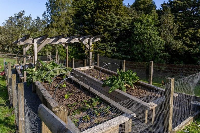 Photo of property in 81 Taylor Road, Waimauku, 0882