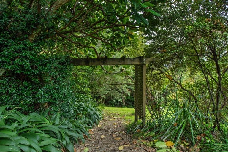 Photo of property in 245 Mccoy Road, Wainui, Opotiki, 3198