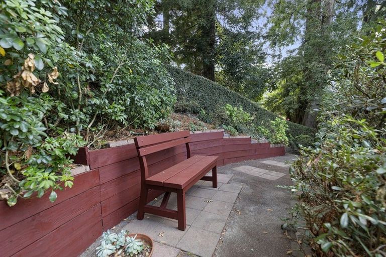 Photo of property in 18 Maple Place, Morrinsville, 3300