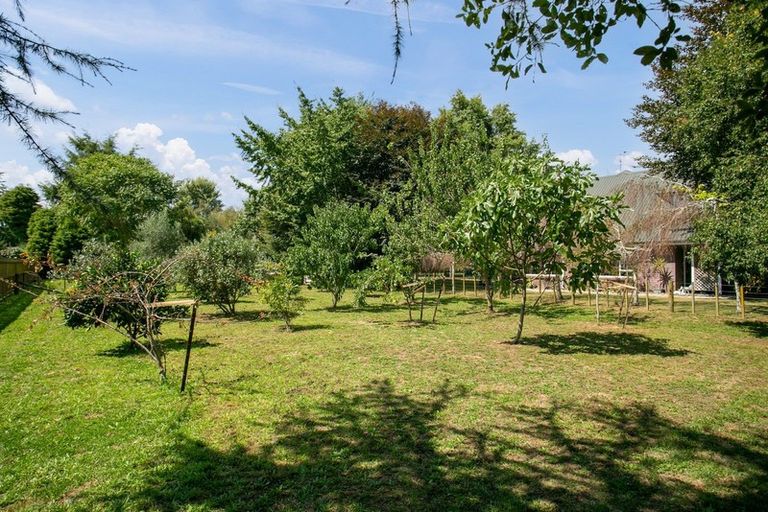 Photo of property in 5 Murray Street, Leamington, Cambridge, 3432