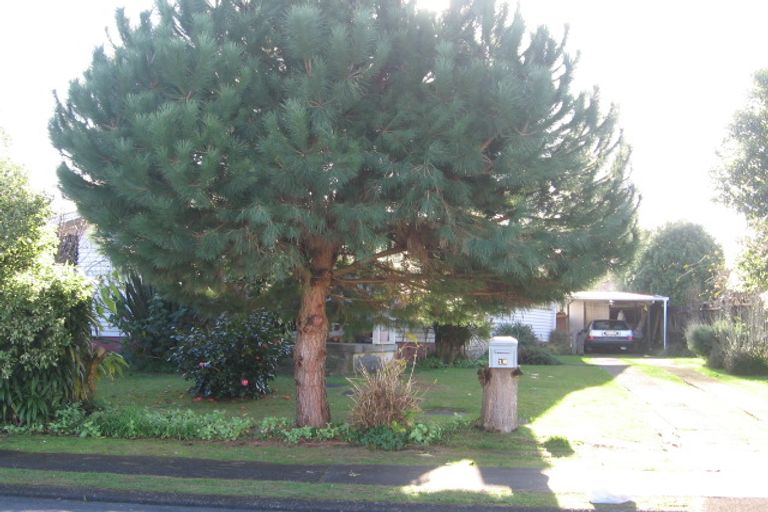 Photo of property in 16 Susan Place, Deanwell, Hamilton, 3206