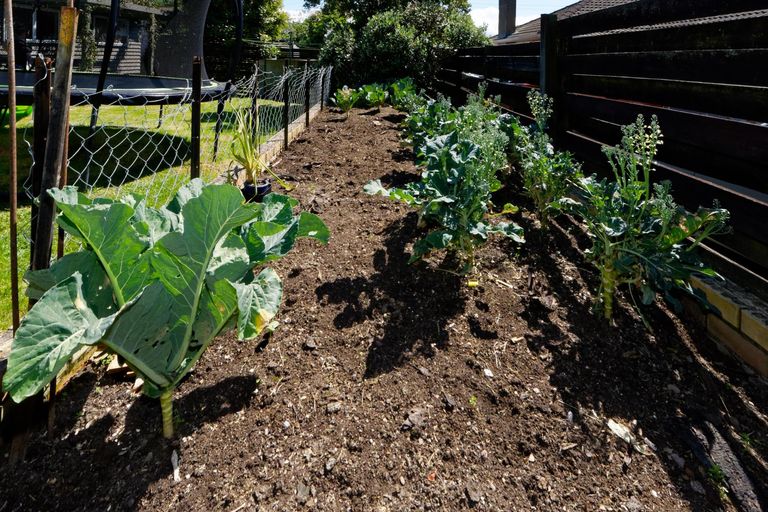 Photo of property in 145 Tirimoana Road, Te Atatu South, Auckland, 0602