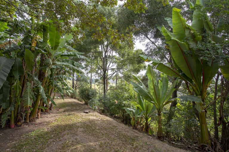 Photo of property in 179 Campbell Road, Parua Bay, Onerahi, 0192