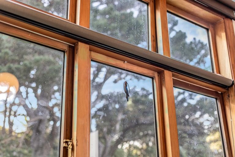 Photo of property in 152 Russell Terrace, Berhampore, Wellington, 6023