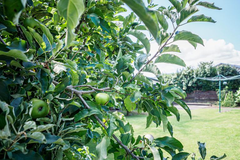 Photo of property in 6 Bracken Street, Leamington, Cambridge, 3432