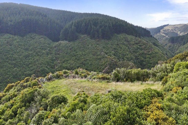 Photo of property in 106 Harrison Hill Road, Aokautere, 4471