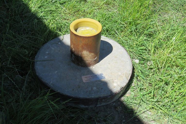 Photo of property in 80 Johnstone Street, Tinwald, Ashburton, 7774