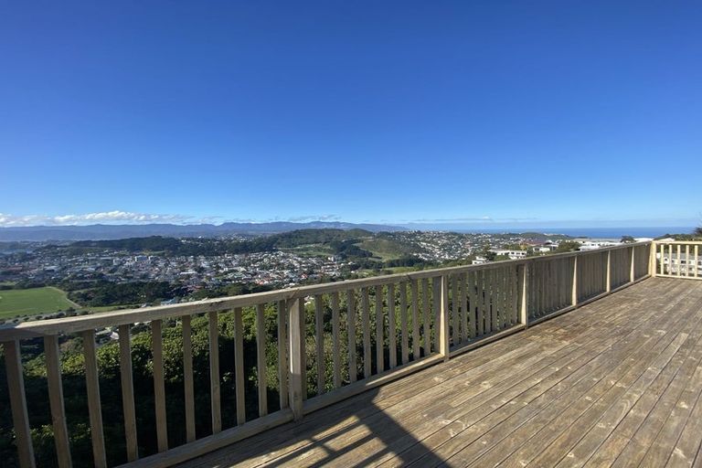 Photo of property in 161 The Ridgeway, Mornington, Wellington, 6021