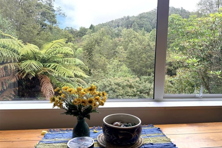 Photo of property in 295 Roa Road, Blackball, 7804