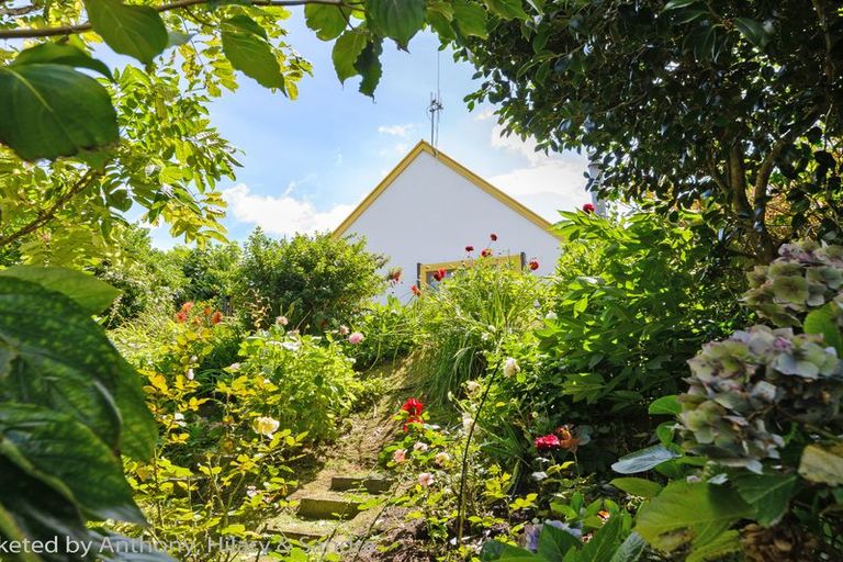 Photo of property in 6a Sharon Place, Awapuni, Palmerston North, 4412