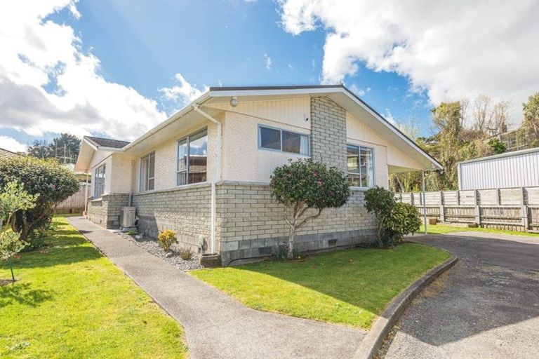 Photo of property in 56 Peakes Road, Springvale, Whanganui, 4501