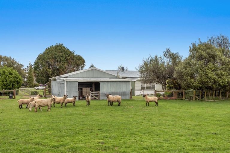 Photo of property in 25 Waioeka Road, Opotiki, 3122