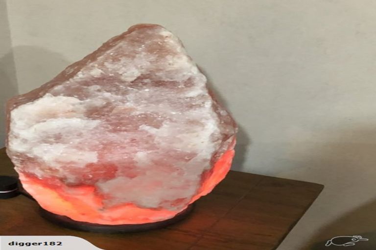 Photo of property in 32 Pompallier Estate Drive, Maunu, Whangarei, 0110