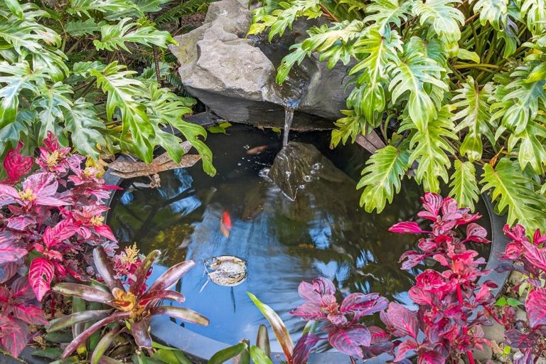 Photo of property in 6 Pemberton Crescent, Greerton, Tauranga, 3112