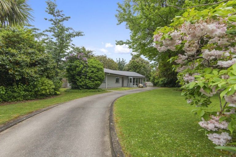 Photo of property in 21 Ormond Street, Woodville, 4920