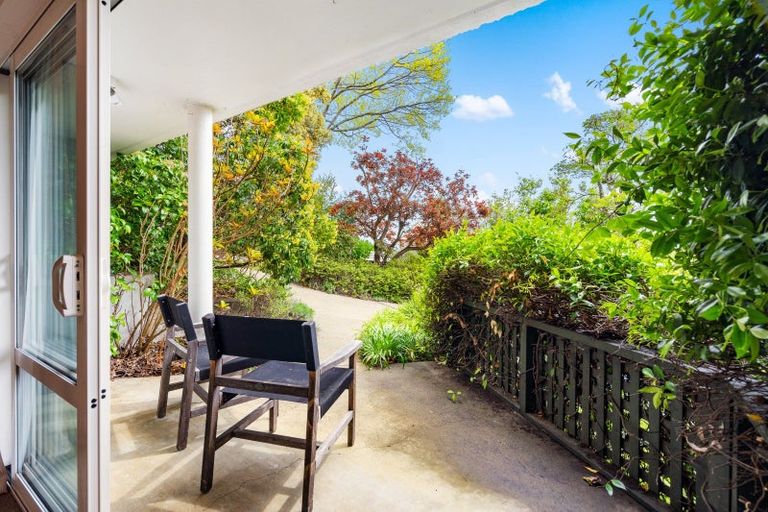 Photo of property in 12 Shortland Place, Havelock North, 4130