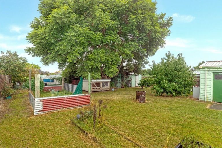 Photo of property in 544 Childers Road, Te Hapara, Gisborne, 4010