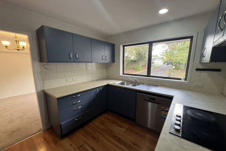 Photo of property in 19 Sartors Avenue, Northcross, Auckland, 0630