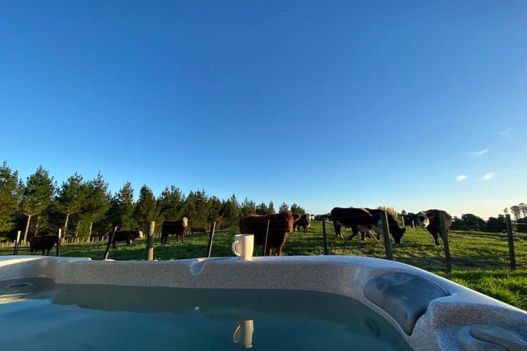 Photo of property in 1302 Pongakawa Bush Road, Pongakawa, Te Puke, 3186