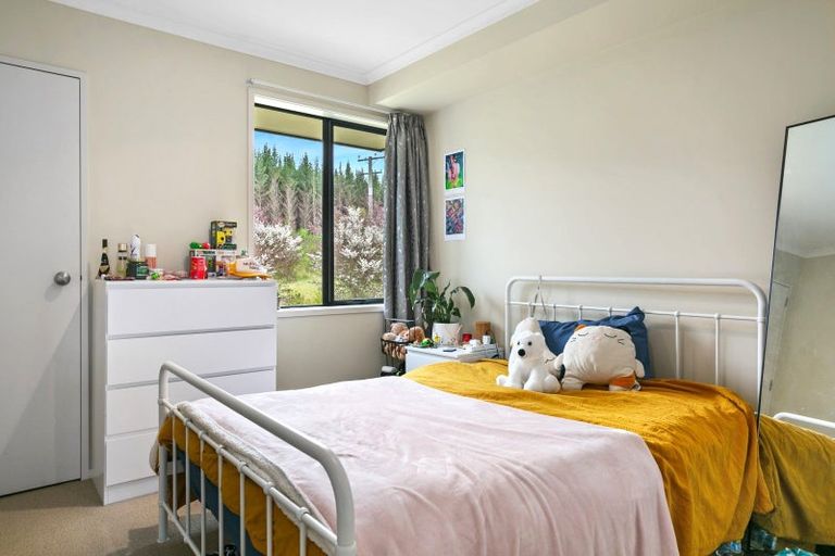 Photo of property in 97 Parekaawa Drive, Motuoapa, Turangi, 3382