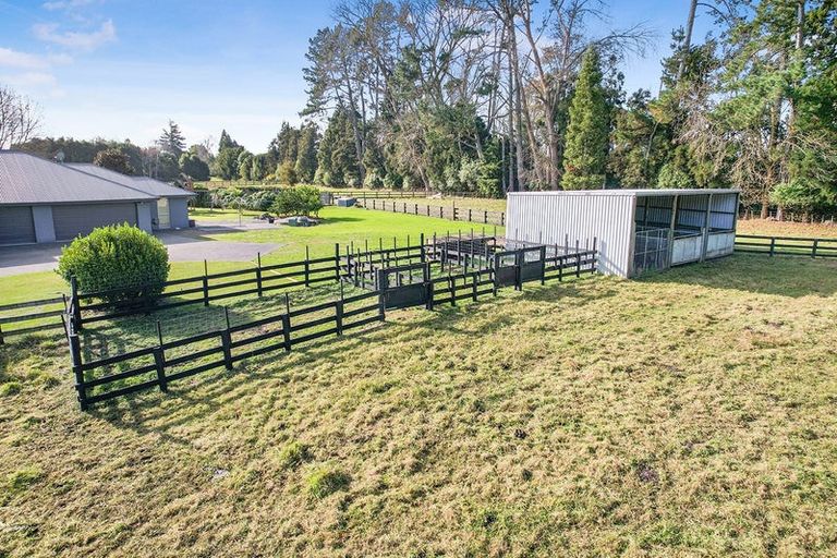 Photo of property in 87b Fuchsia Lane, Tamahere, Hamilton, 3284