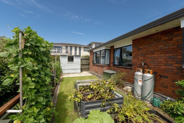Photo of property in 181a Edgecumbe Road, Tauranga South, Tauranga, 3112