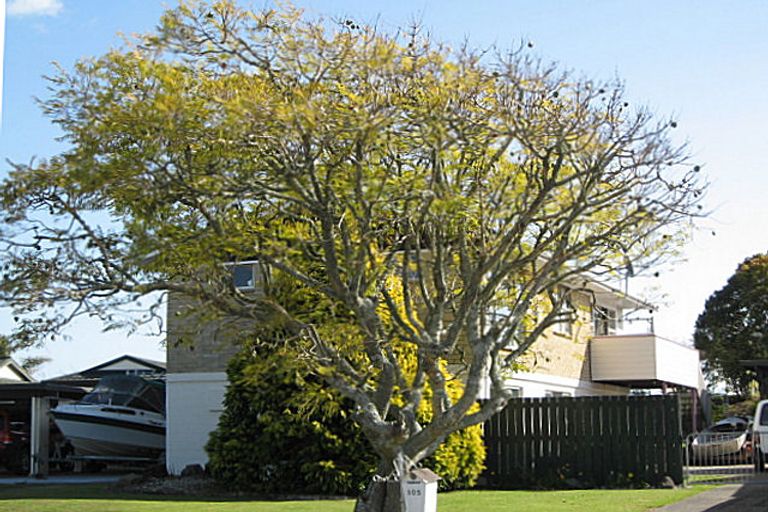 Photo of property in 105 Riverside Drive, Whakatane, 3120