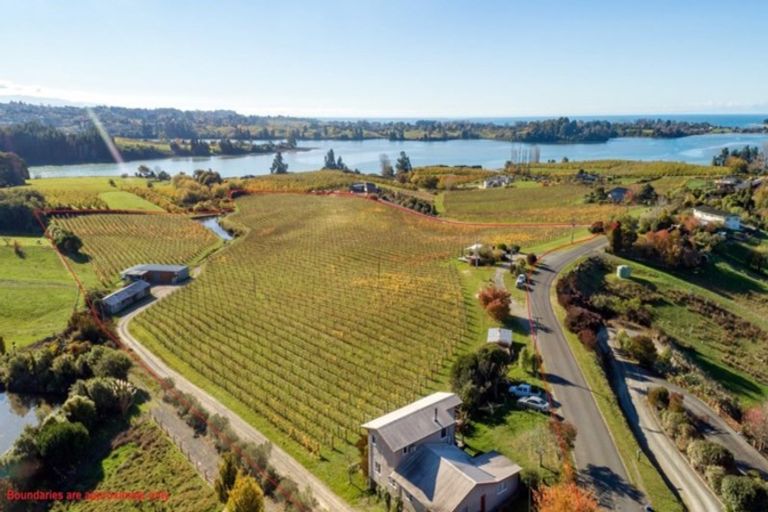 Photo of property in Rimu Grove, 45 Bronte Road East, Bronte, Upper Moutere, 7173