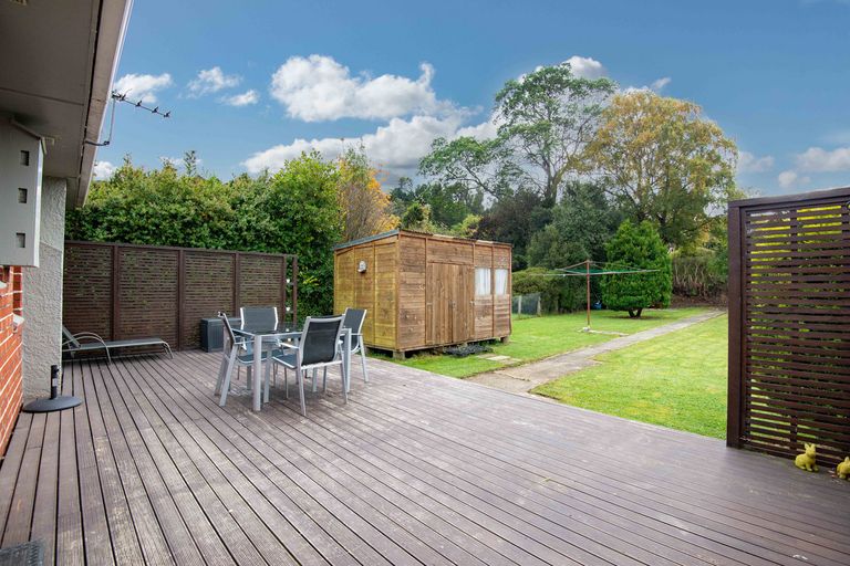 Photo of property in 10 Saint Albans Street, Bradford, Dunedin, 9011