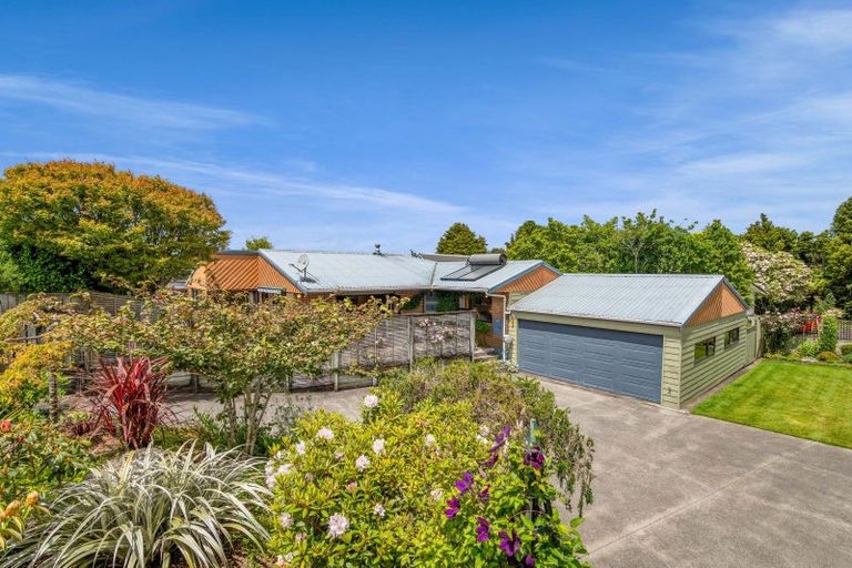 Photo of property in 37 Cassandra Street, Stratford, 4332