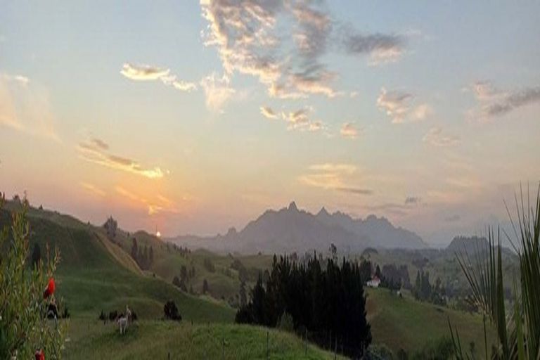 Photo of property in 70 Ruarangi Road, Mangapai, Whangarei, 0178