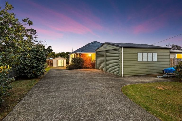 Photo of property in 16 Tiki Street, New Lynn, Auckland, 0600