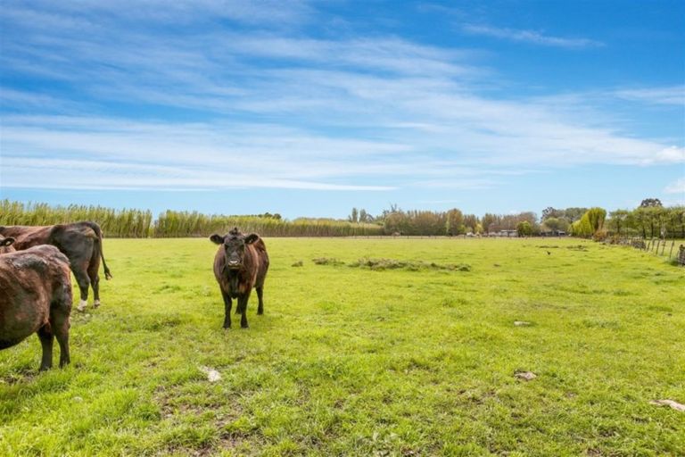 Photo of property in 544 Harewood Road, Harewood, Christchurch, 8051