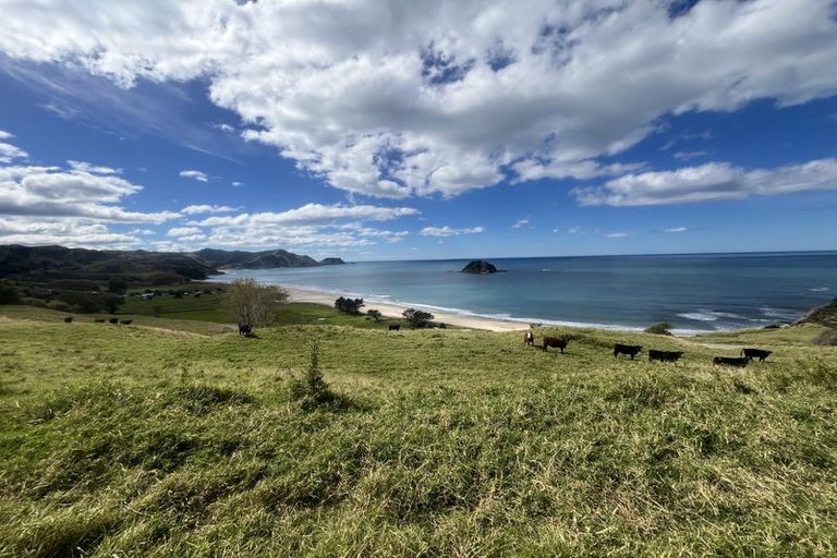 Photo of property in 1447 Anaura Road, Anaura Bay, Tokomaru Bay, 4079