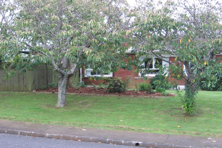 Photo of property in 17 Lipscombe Avenue, Papatoetoe, Auckland, 2025