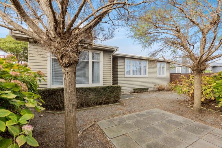 Photo of property in 16 Salisbury Avenue, Terrace End, Palmerston North, 4410