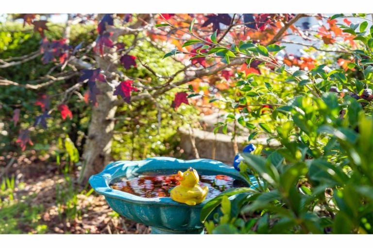 Photo of property in 9 Herons Lane, Mangawhai, 0505