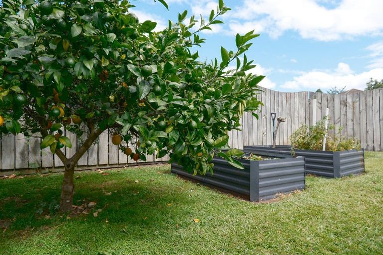 Photo of property in 20a Shirley Street, Mangakakahi, Rotorua, 3015