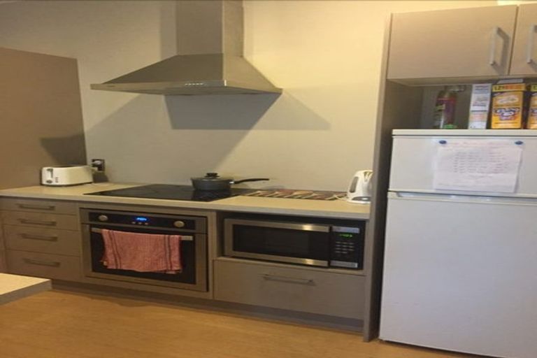 Photo of property in 121b Tristram Street, Hamilton Central, Hamilton, 3204