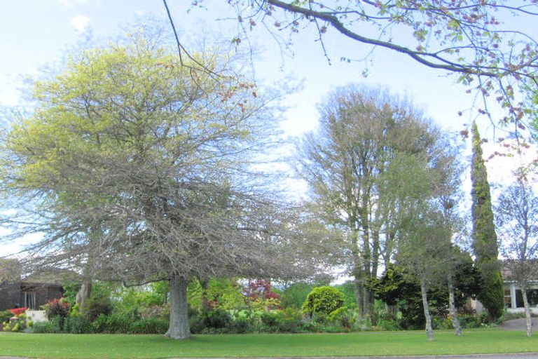 Photo of property in 98 Burwood Road, Matamata, 3400