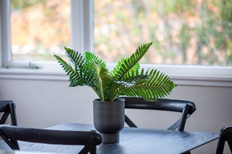 Photo of property in 52 Cambridge Road, Hillcrest, Hamilton, 3216